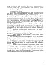 Vadybos funkcijų savarankiškas darbas 8 puslapis