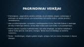 Aleksandras Diuma  „Trys muškietininkai“ 4 puslapis