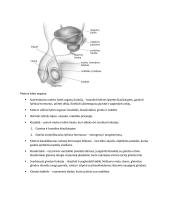 Apvaisinimas konspektas 3 puslapis