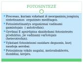 Fotosintezė, kvėpavimas 2 puslapis