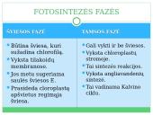 Fotosintezė, kvėpavimas 13 puslapis
