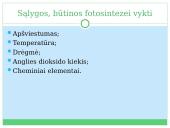 Fotosintezė, kvėpavimas 8 puslapis