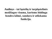 Gyvūnų audiniai konspektas 2 puslapis