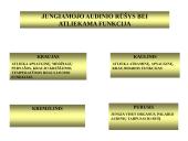 Gyvūnų audiniai konspektas 11 puslapis