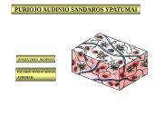 Gyvūnų audiniai konspektas 16 puslapis