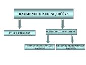 Gyvūnų audiniai konspektas 17 puslapis
