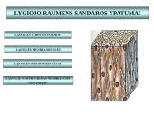 Gyvūnų audiniai konspektas 18 puslapis