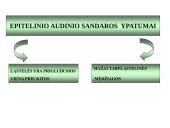 Gyvūnų audiniai konspektas 4 puslapis