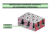 Gyvūnų audiniai konspektas 8 puslapis