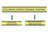 Gyvūnų audiniai konspektas 10 puslapis