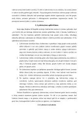 Vadovas ir lyderis: skirtumai ir panašumai 5 puslapis