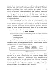Vadovas ir lyderis: skirtumai ir panašumai 8 puslapis