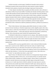 Vadovavimas ir komandos formavimas 2 puslapis