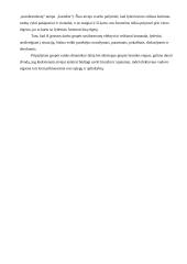 Vadovavimas ir komandos formavimas 3 puslapis