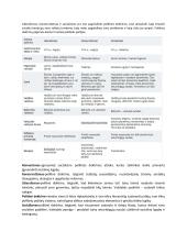 Politinės ideologijos konspektas 2 puslapis