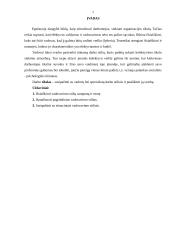 Vadovų bei specialistų darbo stiliai 2 puslapis