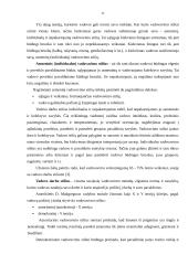 Vadovų bei specialistų darbo stiliai 11 puslapis