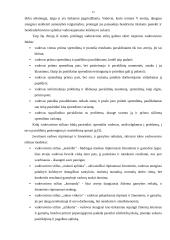 Vadovų bei specialistų darbo stiliai 12 puslapis