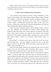 Vadovų bei specialistų darbo stiliai 13 puslapis