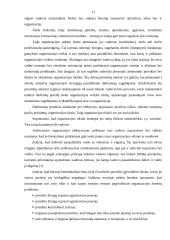 Vadovų bei specialistų darbo stiliai 14 puslapis