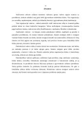 Vadovų bei specialistų darbo stiliai 18 puslapis