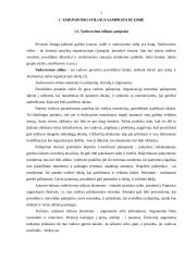 Vadovų bei specialistų darbo stiliai 3 puslapis