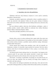 Vadovų bei specialistų darbo stiliai 6 puslapis