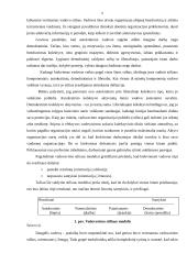 Vadovų bei specialistų darbo stiliai 8 puslapis