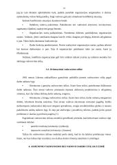 Vadovų bei specialistų darbo stiliai 10 puslapis