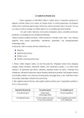 Vadovo asmenybė. Vadovas konfliktinėse ir stresinėse situacijose 4 puslapis
