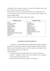 Vadovo asmenybė. Vadovas konfliktinėse ir stresinėse situacijose 5 puslapis