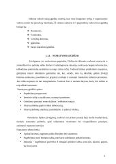 Vadovo asmenybė. Vadovas konfliktinėse ir stresinėse situacijose 6 puslapis