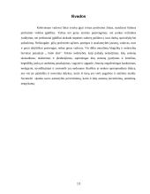 Vadovo asmenybės bruožai ir asmenybės įvaizdis 13 puslapis