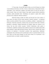 Vadovo asmenybės bruožai ir asmenybės įvaizdis 3 puslapis