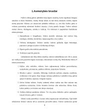 Vadovo asmenybės bruožai ir asmenybės įvaizdis 4 puslapis