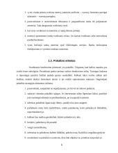 Vadovo asmenybės bruožai ir asmenybės įvaizdis 6 puslapis