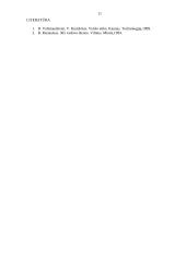 Vadovo profesionalumas, bendravimo manieros 11 puslapis