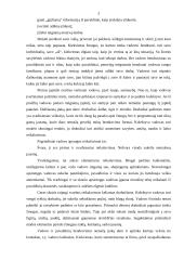 Vadovo profesionalumas, bendravimo manieros 3 puslapis