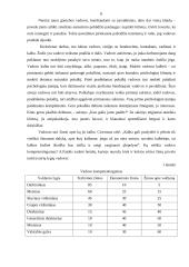 Vadovo profesionalumas, bendravimo manieros 8 puslapis