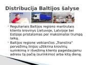 UAB „Transtira“ įmonės pristatymas 11 puslapis