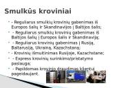 UAB „Transtira“ įmonės pristatymas 10 puslapis