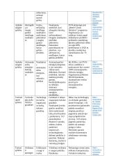 Ekonomikos ir vadybos rašto darbas: Phillips-van Heusen 11 puslapis