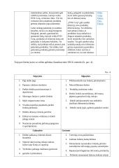 Ekonomikos ir vadybos rašto darbas: Phillips-van Heusen 17 puslapis