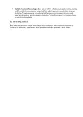 Ekonomikos ir vadybos rašto darbas: Phillips-van Heusen 19 puslapis