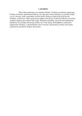 Ekonomikos ir vadybos rašto darbas: Phillips-van Heusen 2 puslapis