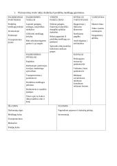 Ekonomikos ir vadybos rašto darbas: Phillips-van Heusen 20 puslapis