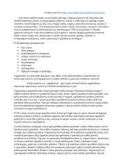 Ekonomikos ir vadybos rašto darbas: Phillips-van Heusen 6 puslapis