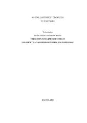 UAB amortizacijos perdarinėjimas „Em Suspension“