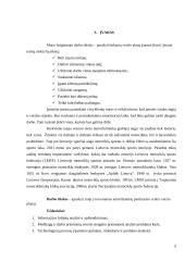 UAB amortizacijos perdarinėjimas „Em Suspension“ 6 puslapis