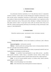 UAB amortizacijos perdarinėjimas „Em Suspension“ 8 puslapis